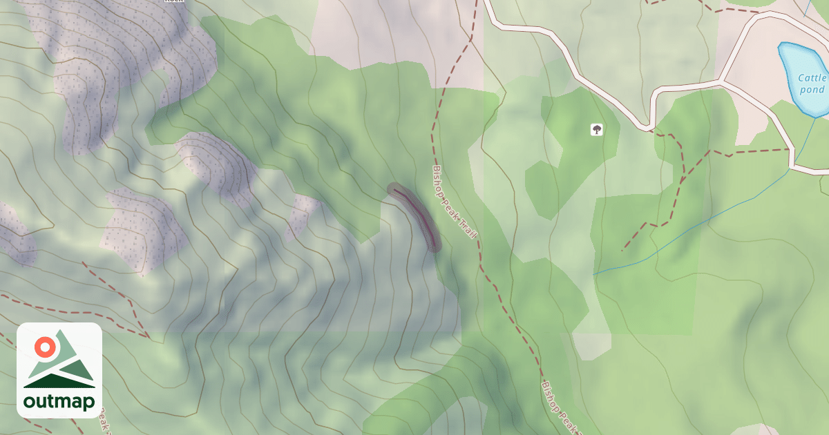 Map of Cracked Wall