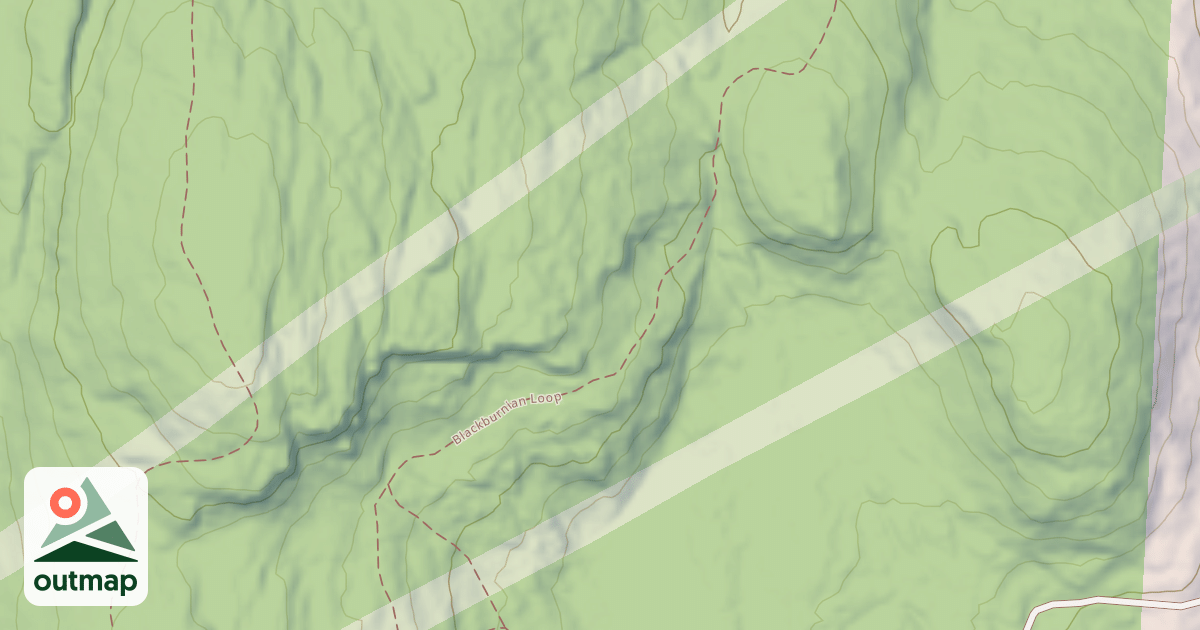 Map of Blackburnian Loop