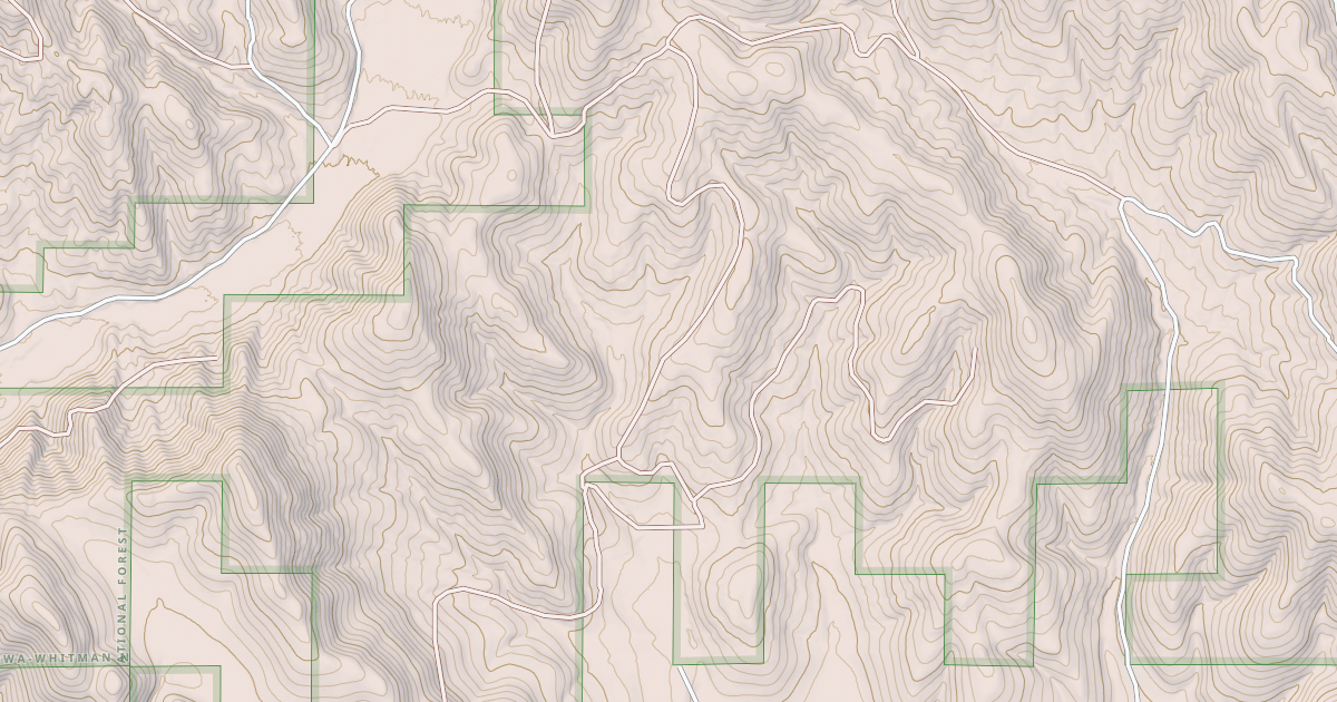 Map preview of USFS National Forest System Roads {8417E364-FEA1-4012-82E0-6E3EB58220D2}