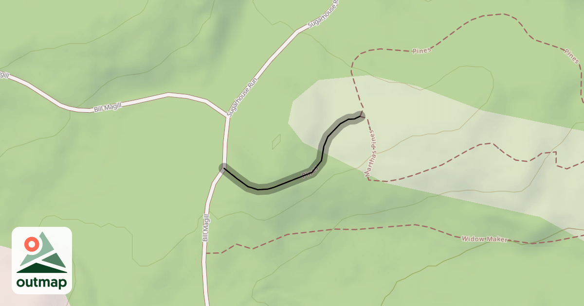 Map of Pines