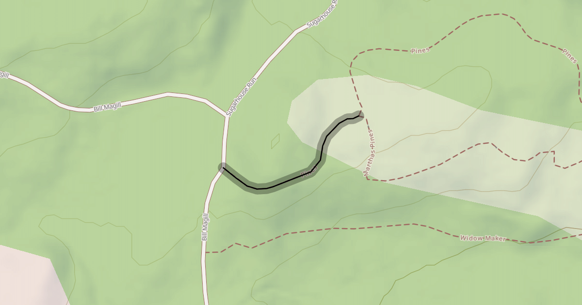 Map preview of Pines