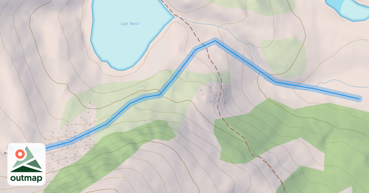 Map of Rhododendrons