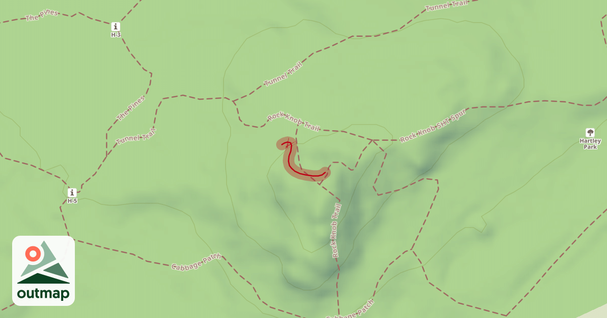 Map of H5N1