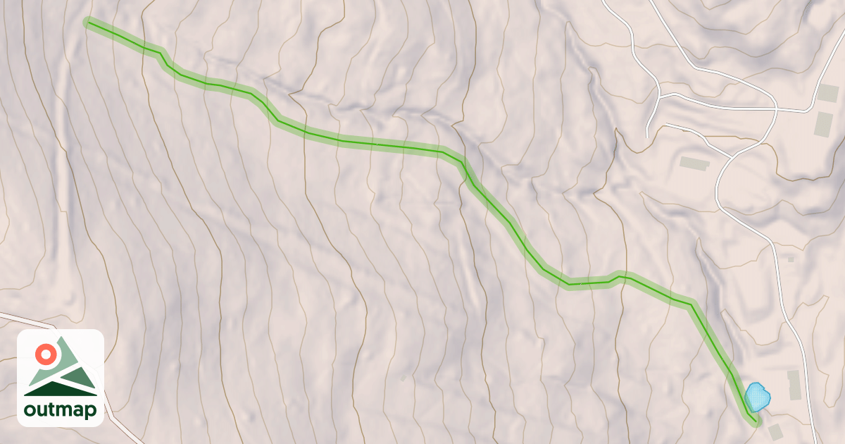 Map of Paddy's Promenade