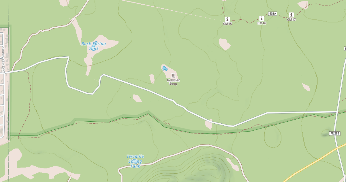 Map preview of PINETOP CC FIRE