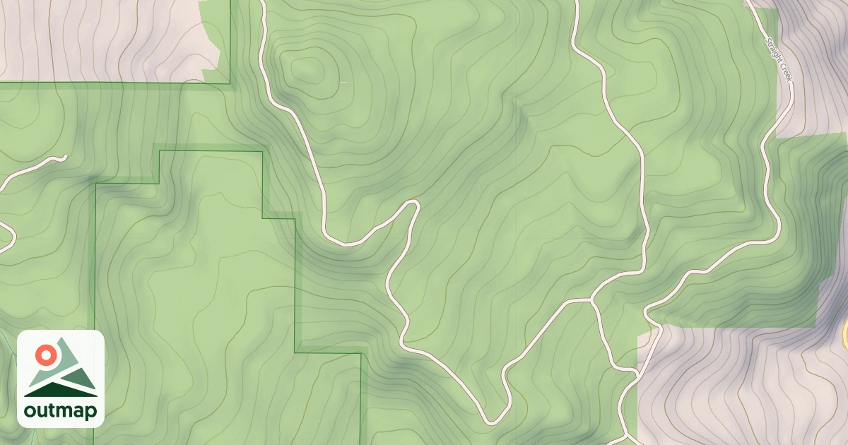 Map of BUZZ/BUDDY T.S.