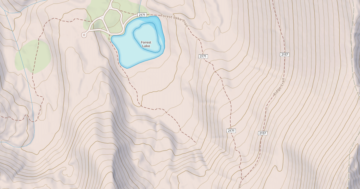 Map preview of FOREST LAKE