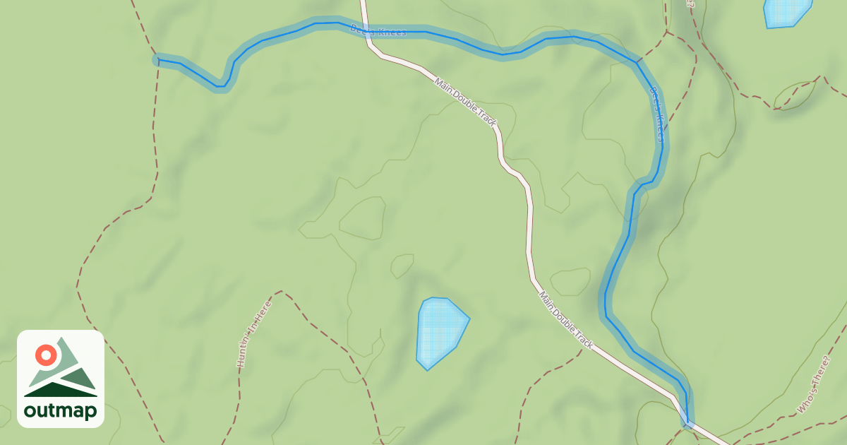 Map of Bee's Knees
