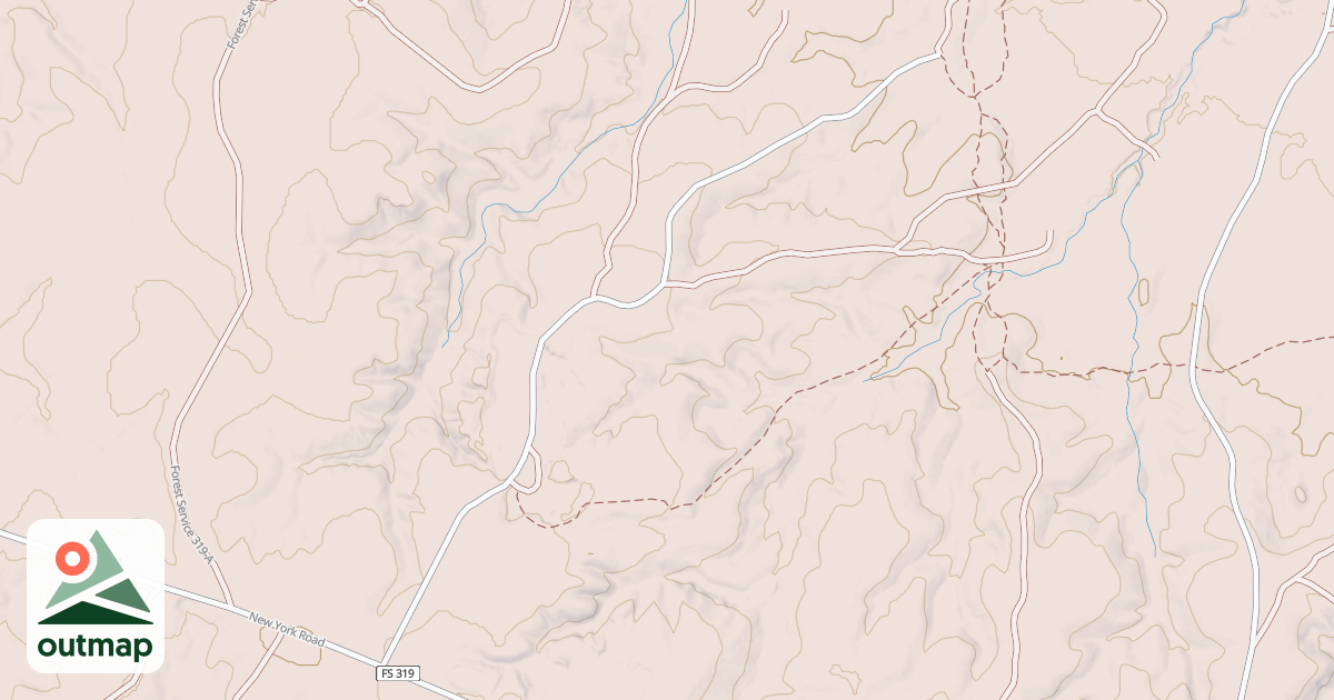 Map of USFS National Forest System Roads {21F0C5FD-3AD5-4445-94F6-6DFEE63ABCE4}