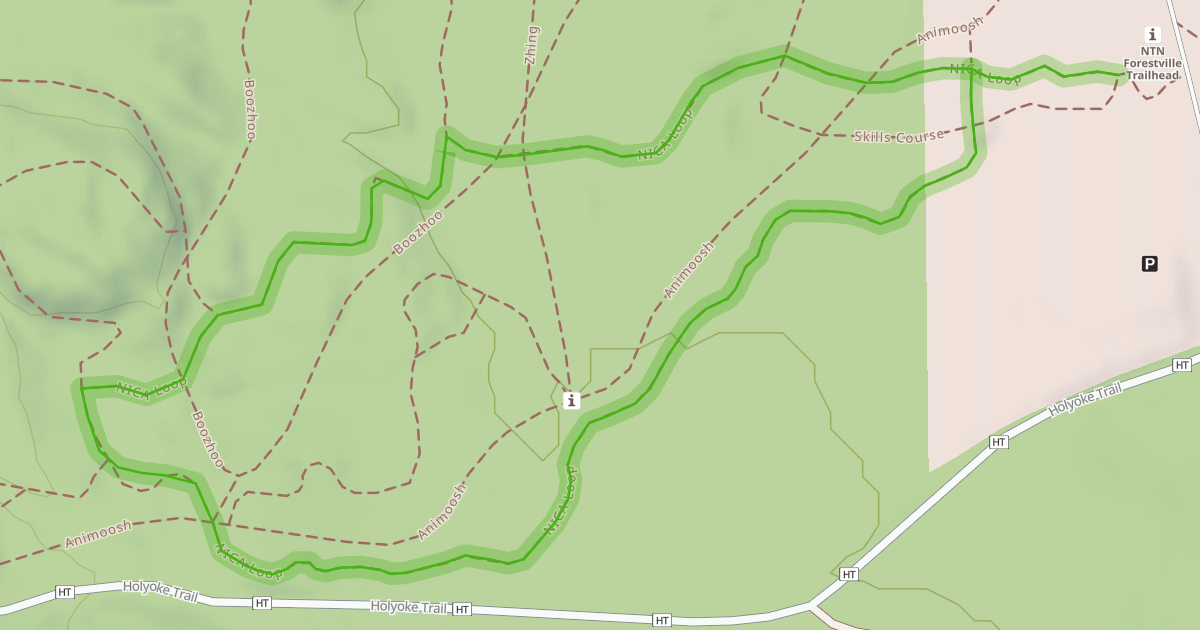 Map preview of NICA Loop