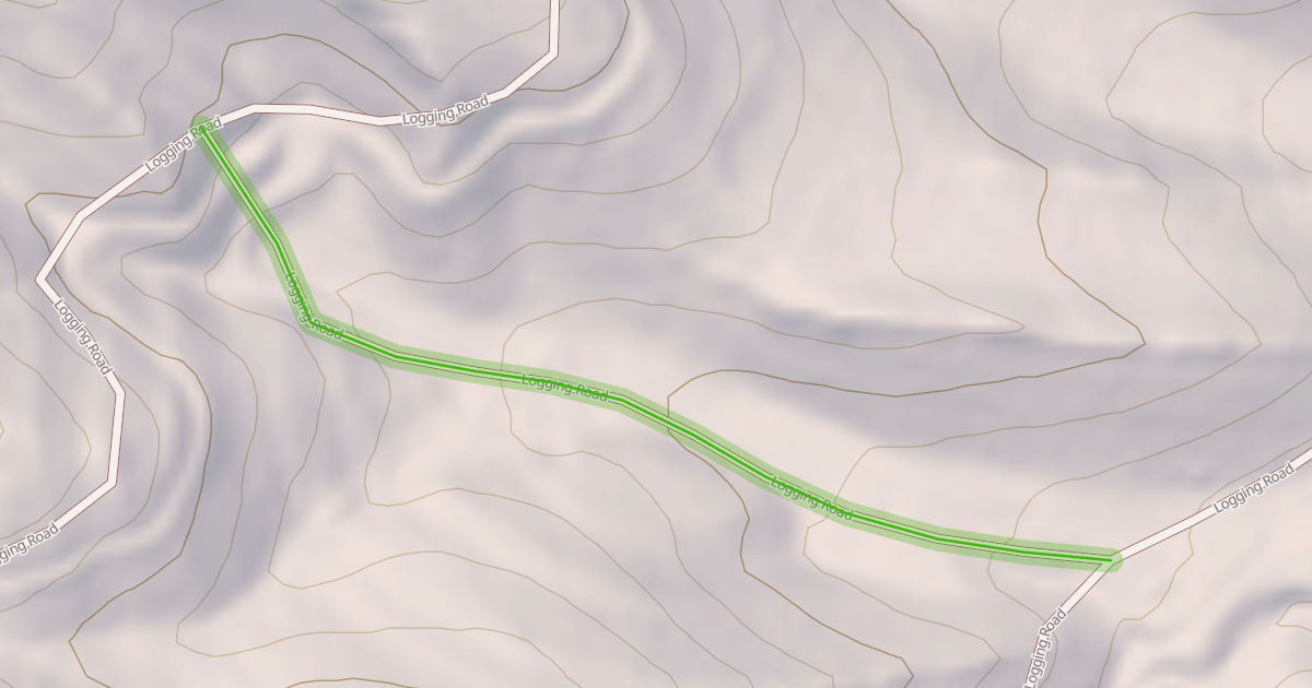 Map preview of Logging Road