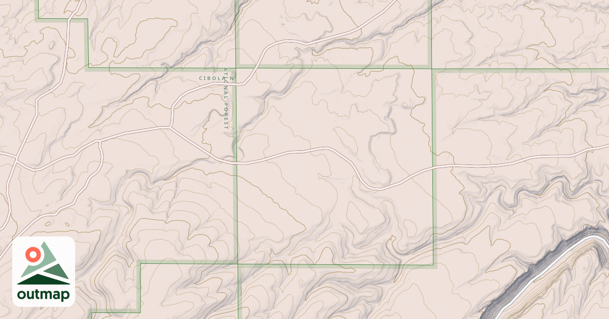 Map of USFS National Forest System Roads {A04A64A7-8FBB-4AF9-96A2-5B9CAB403F70}