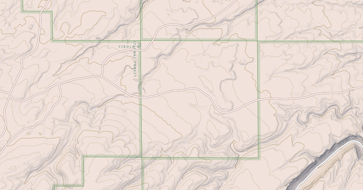 Map preview of USFS National Forest System Roads {A04A64A7-8FBB-4AF9-96A2-5B9CAB403F70}