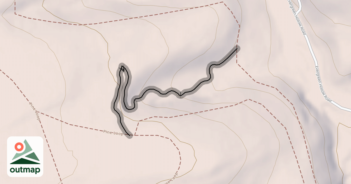 Map of Bones