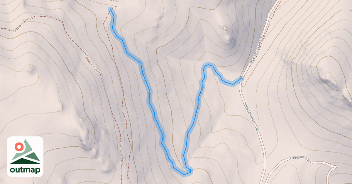 Map of Lower Buzzard