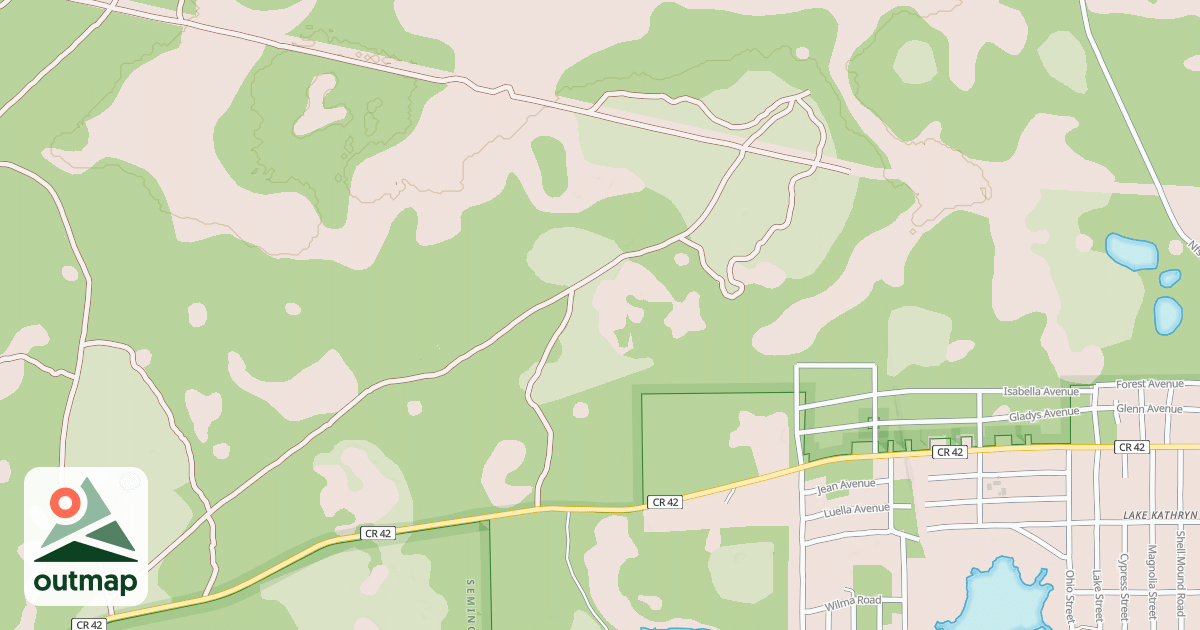 Map of USFS National Forest System Roads {3B2F1DBB-61AF-4DD8-BA84-20EAB9A476BE}