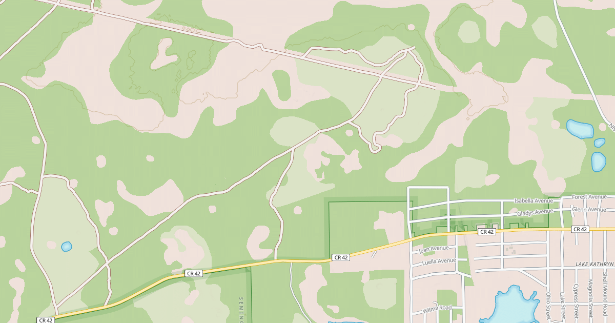 Map preview of USFS National Forest System Roads {3B2F1DBB-61AF-4DD8-BA84-20EAB9A476BE}