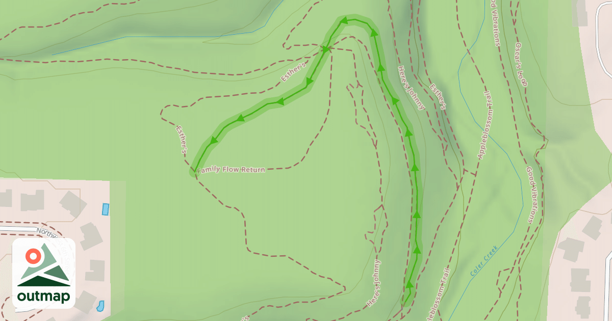 Map of Family Flow