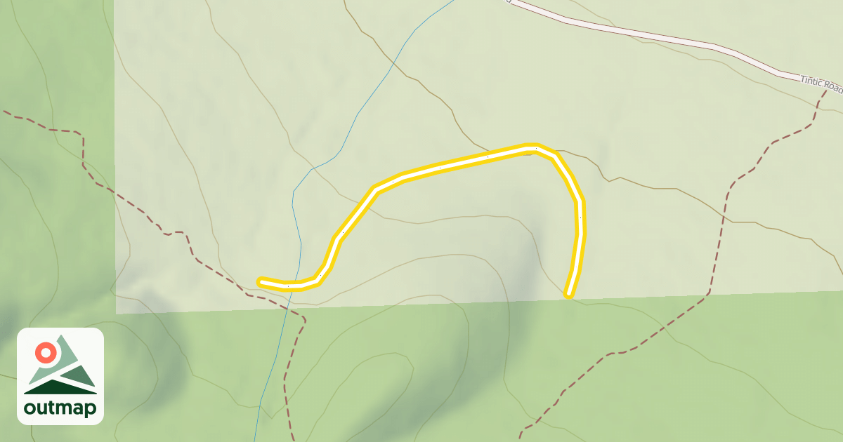 Map of Twiddler