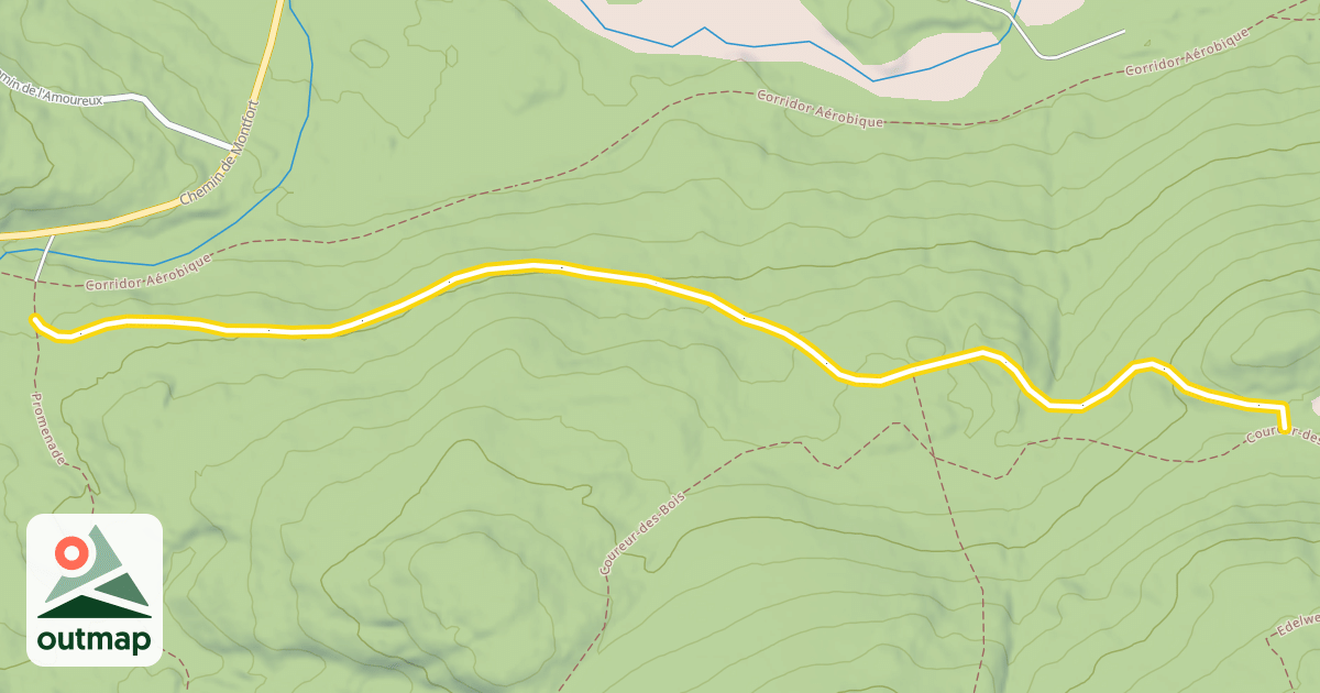 Map of Aladin