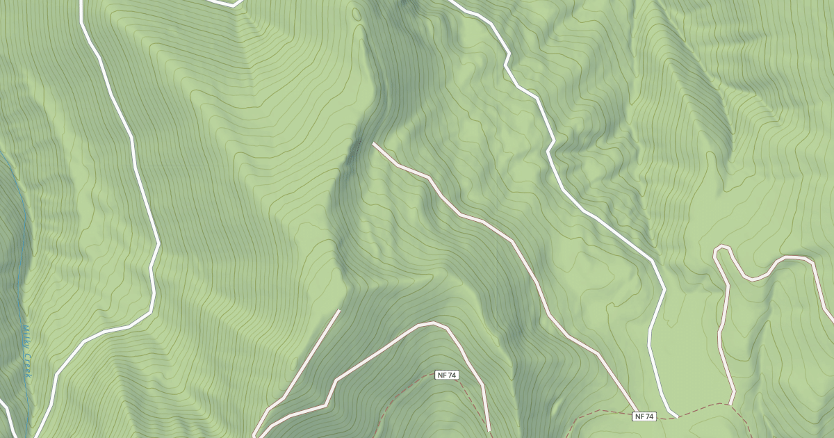 Map preview of USFS National Forest System Roads {882A2B2B-C062-45EA-86FD-97D63AD85149}