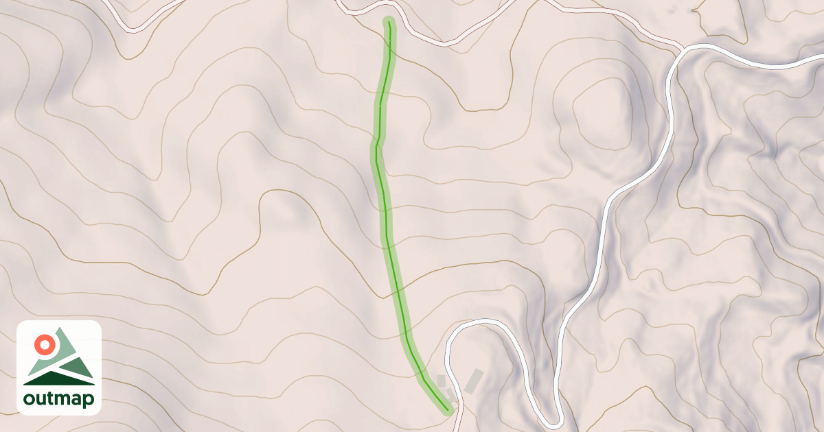 Map of The Gut