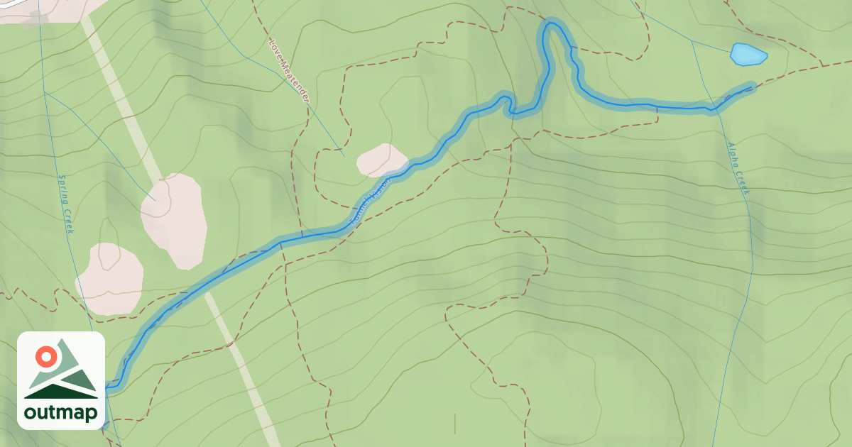 Map of Tunnel Vision (Middle)