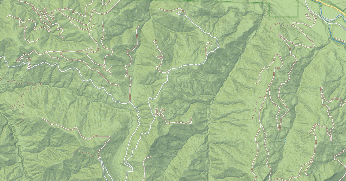 Map preview of USFS National Forest System Roads {E3C479A6-5E9C-4961-A03A-CA576FAA4ADD}
