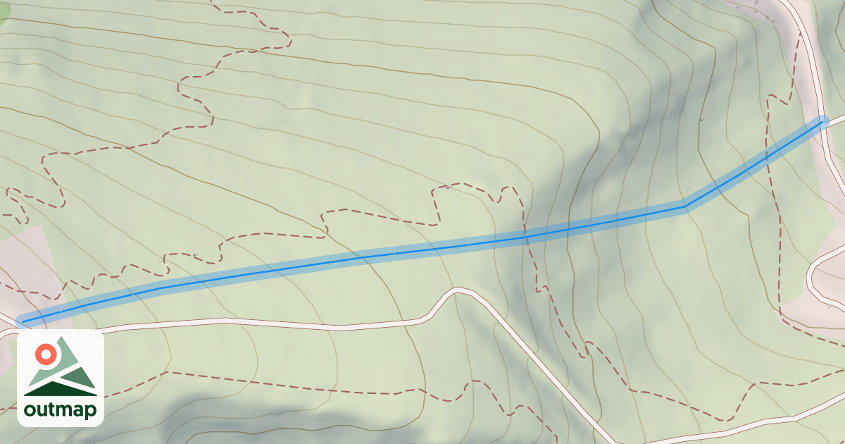 Map of violette