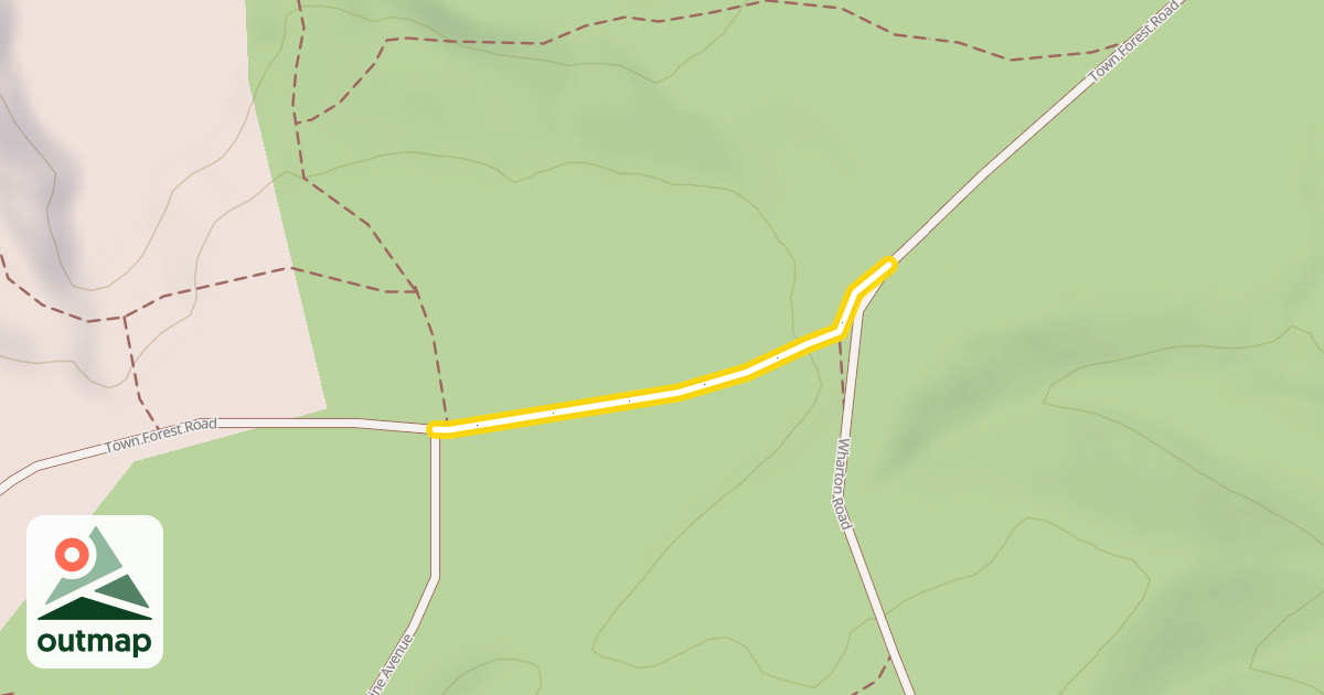 Map of Town Forest Road