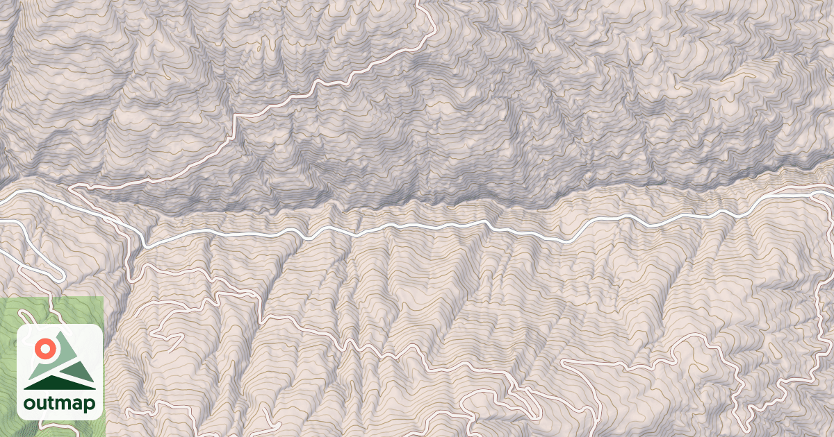 Map of IVORY MILL ROAD