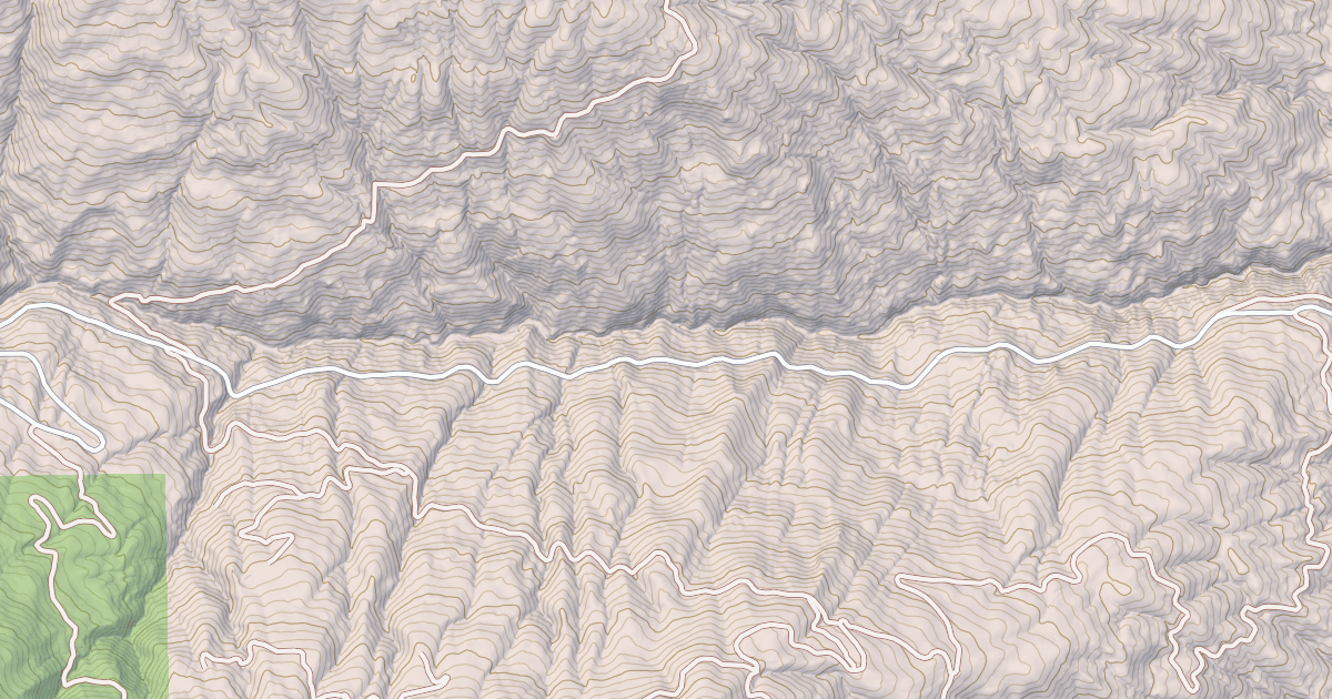 Map preview of IVORY MILL ROAD