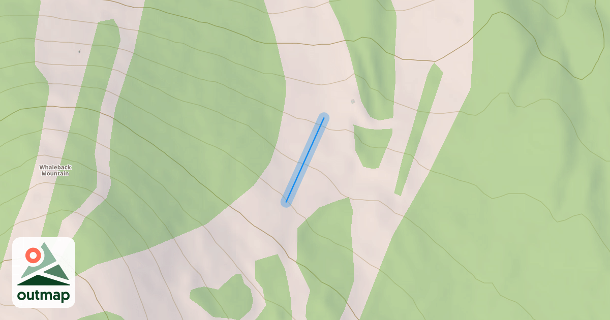 Map of Bouganvillea