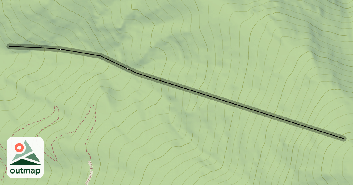 Map of Thick of It