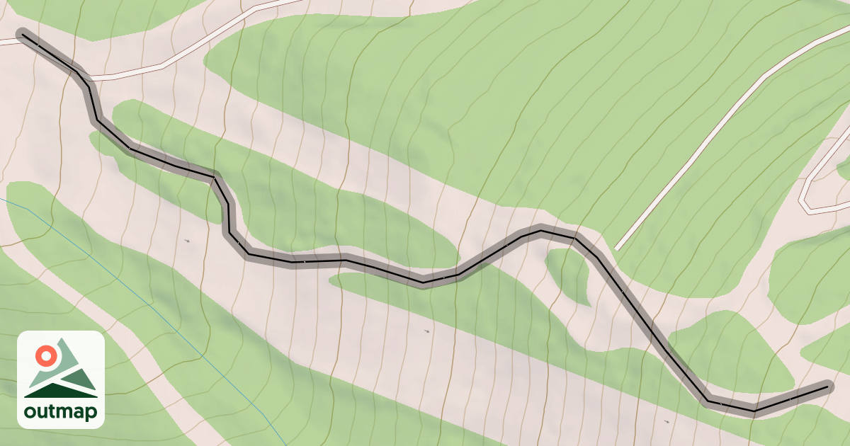 Map of Taylor's Run