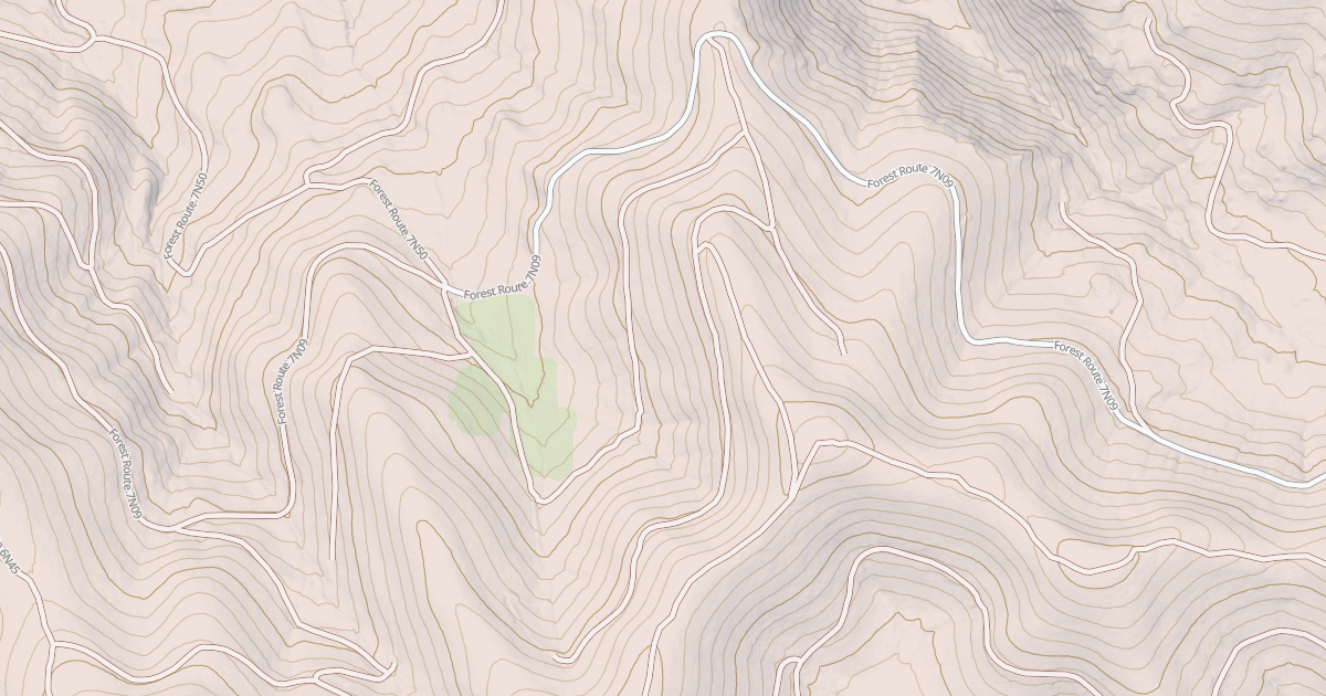 Map preview of USFS National Forest System Roads {8162A7C1-6870-4ABA-B7FC-A79EAD84441C}