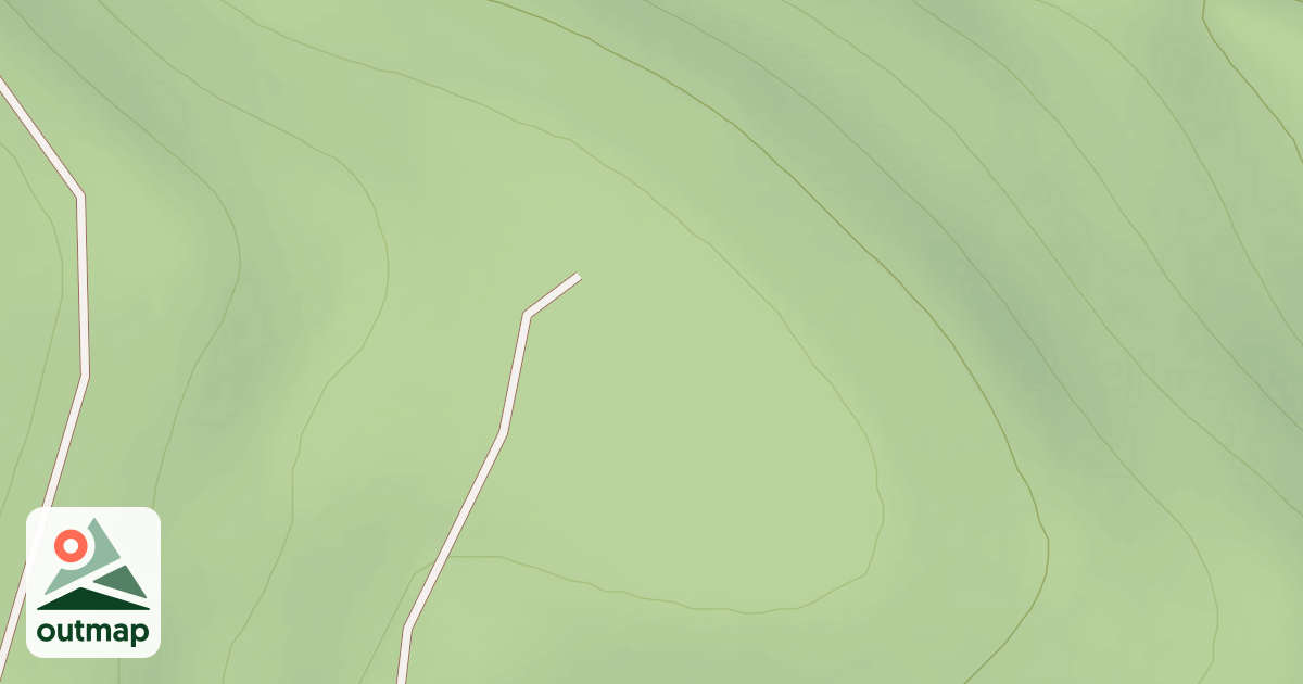 Map of USFS Motor Vehicle Use Map Roads {42EC6D63-8007-48B9-8BB3-5BE78007AA6C}