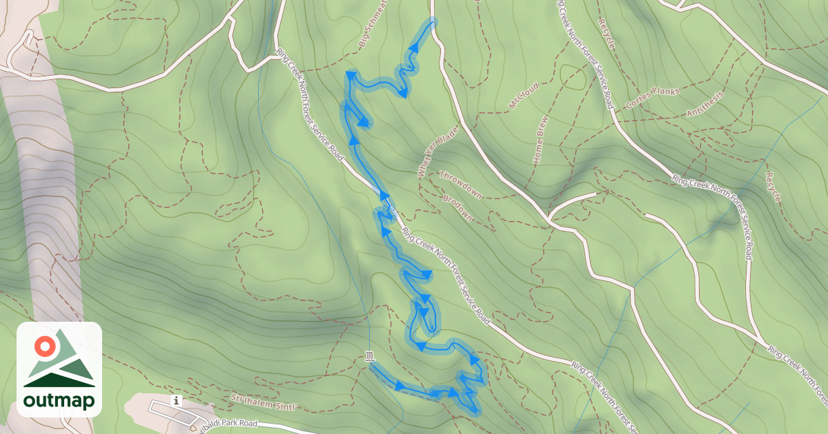 Map of Pseudo-Tsuga