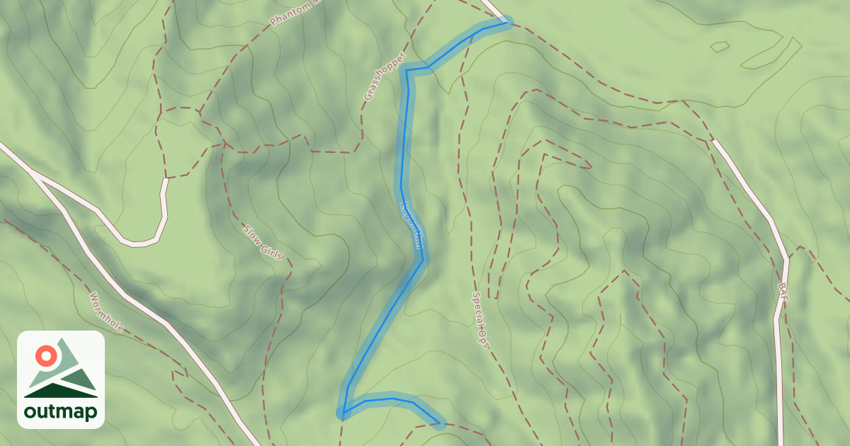 Map of Logarithm