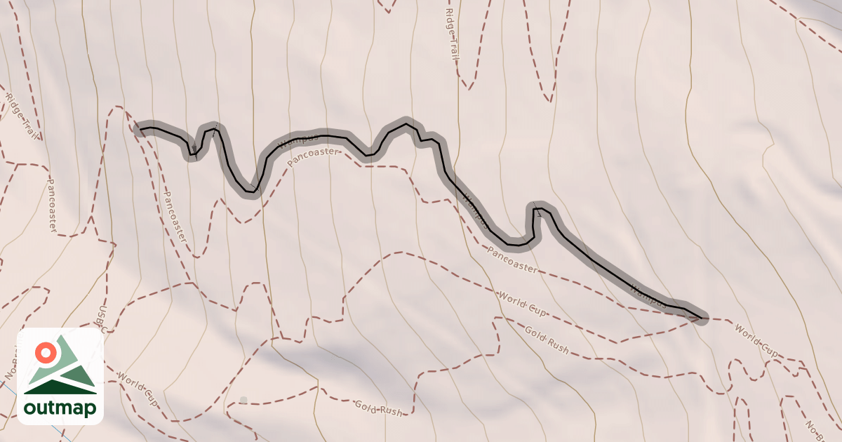 Map of Wampus