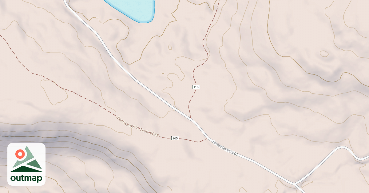 Map of ADAMS FORK