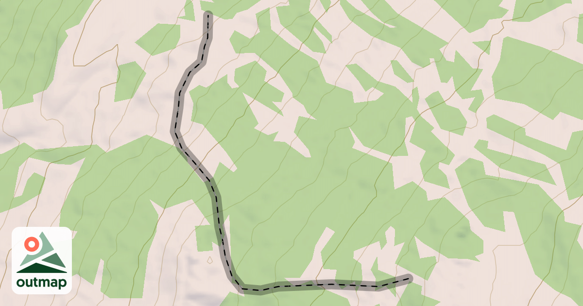 Map of W4