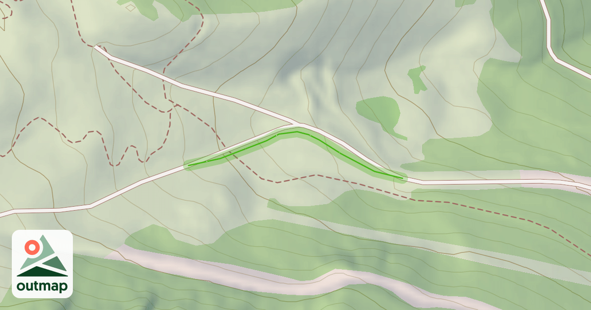 Map of bouleaux