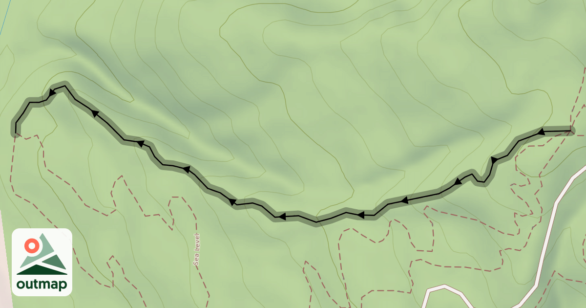Map of Newt Chute
