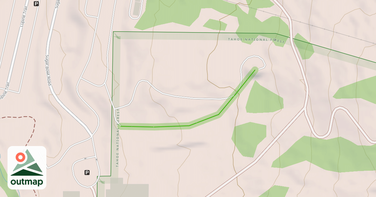 Map of Black bear