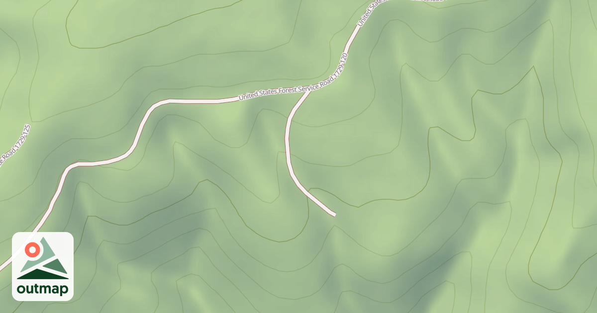 Map of USFS National Forest System Roads {81D2A9A3-B08C-4841-B79E-E8ADD65531AF}
