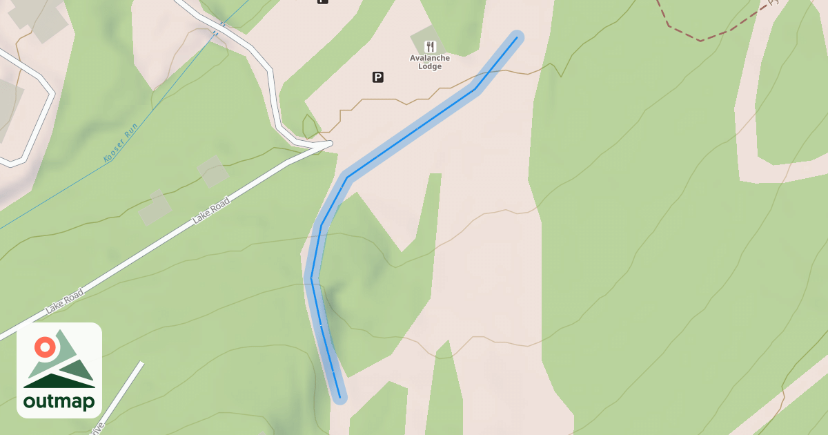Map of Cougar