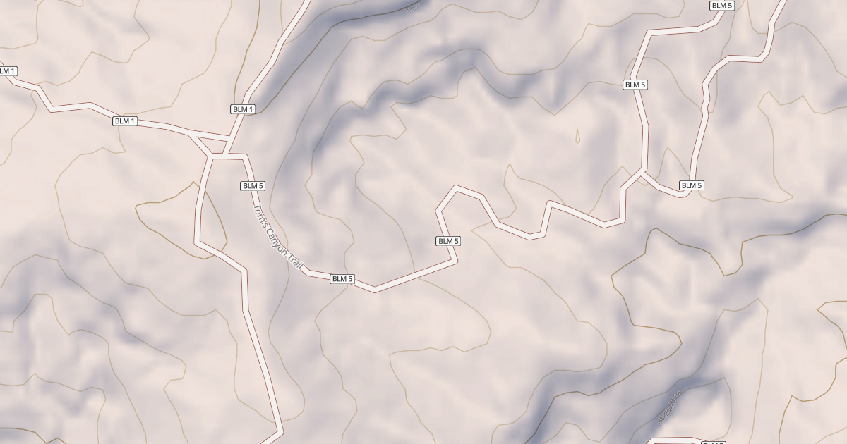 Map preview of BLM National GTLF Public Motorized Roads 2bc2c16d-2e3a-4e99-9056-bdf982dbea23