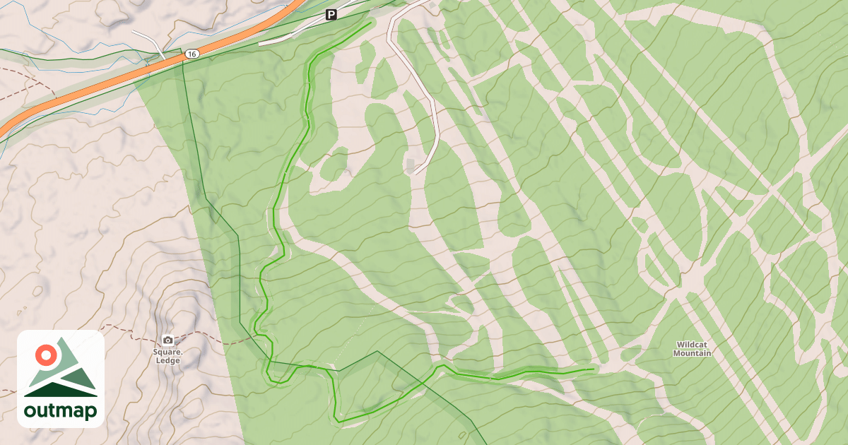Map of Wild-Kitten