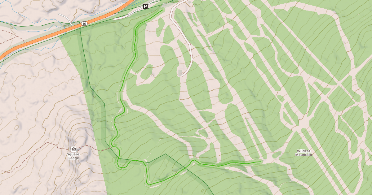 Map preview of Wild-Kitten